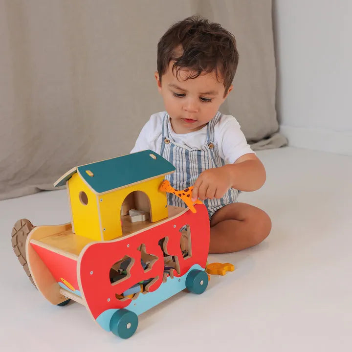 Noah's Shape Sorter Ark-Noah's Shape Sorter Ark