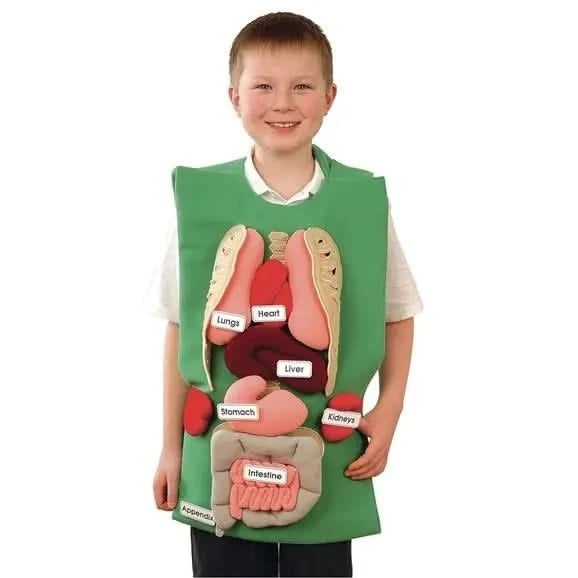 Organ Tunic & Organ Set-Organ Tunic & Organ Set