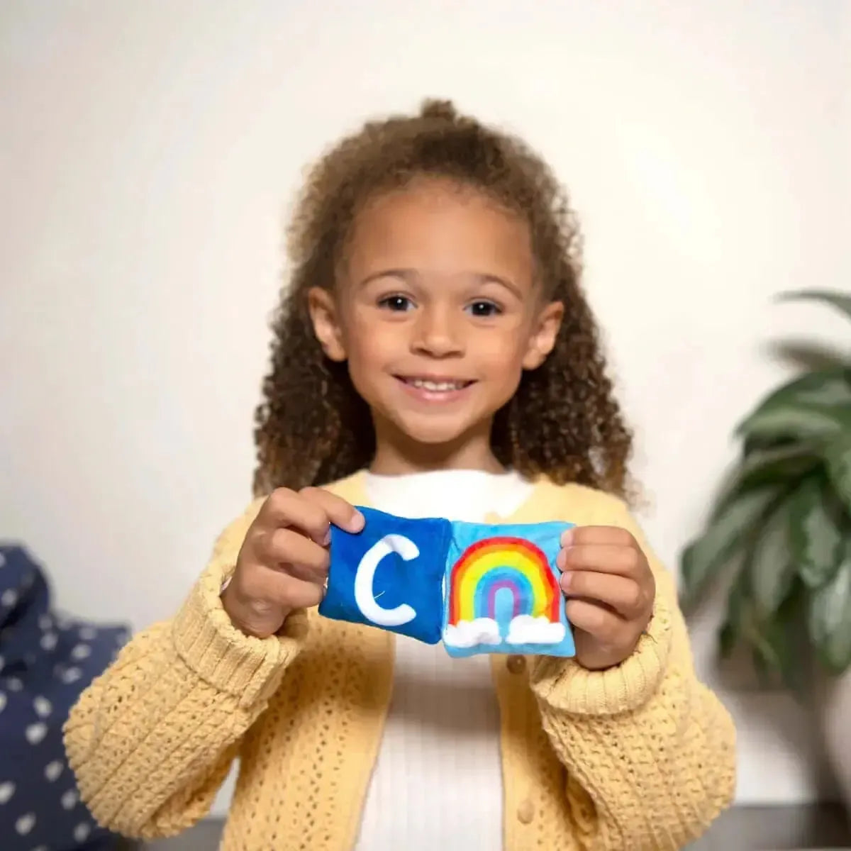 Phonics Bean Bags-Phonics Bean Bags