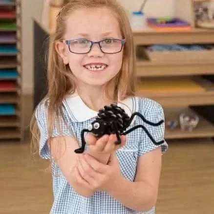 Pine Cones Pack of 25-Pine Cones Pack of 25