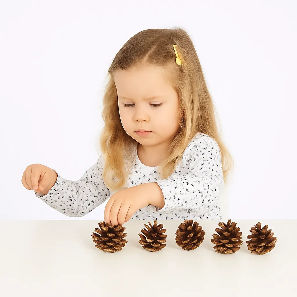 Pine Cones Pack of 25-Pine Cones Pack of 25