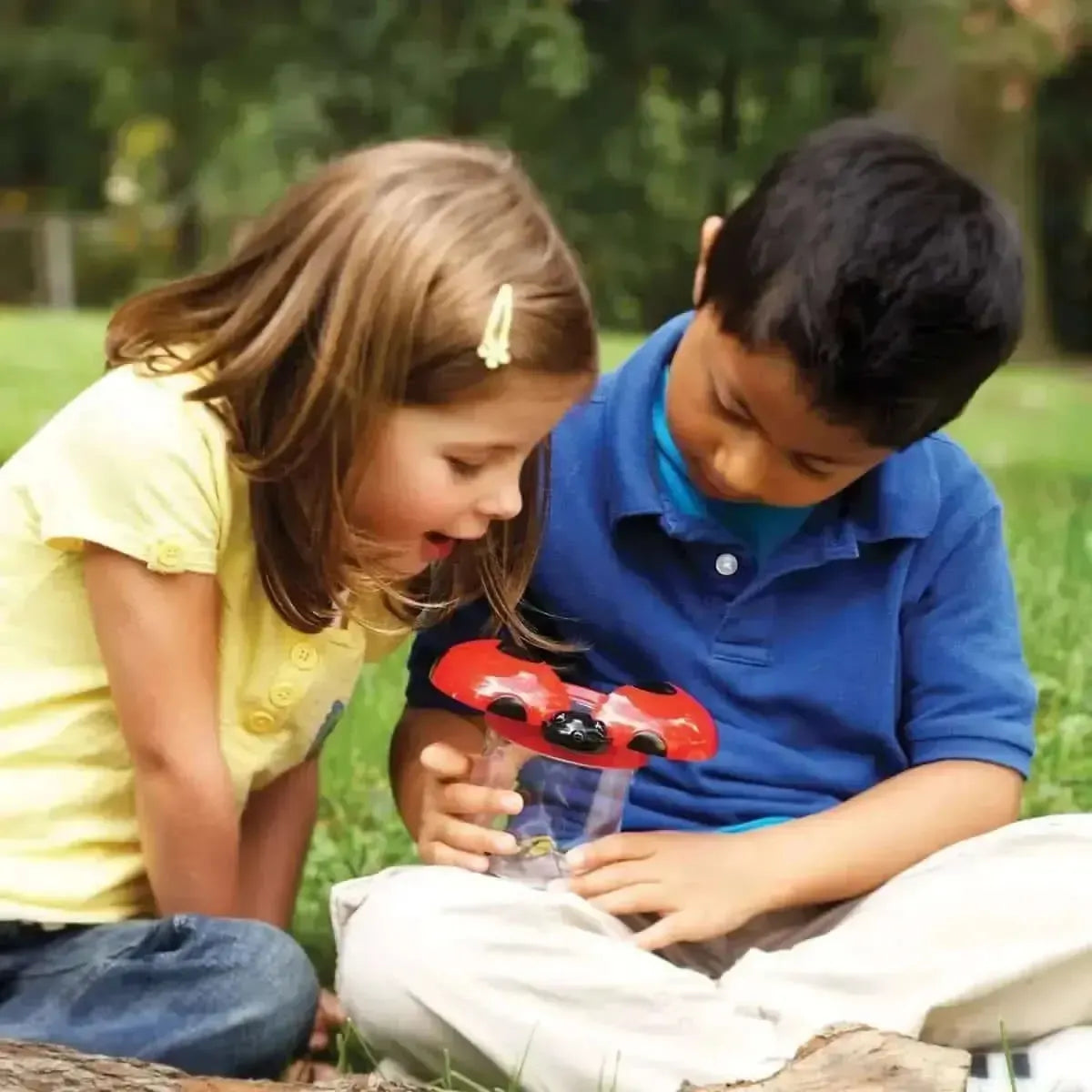 Primary Science Big View Bug Jars Set of 6-Primary Science Big View Bug Jars Set of 6