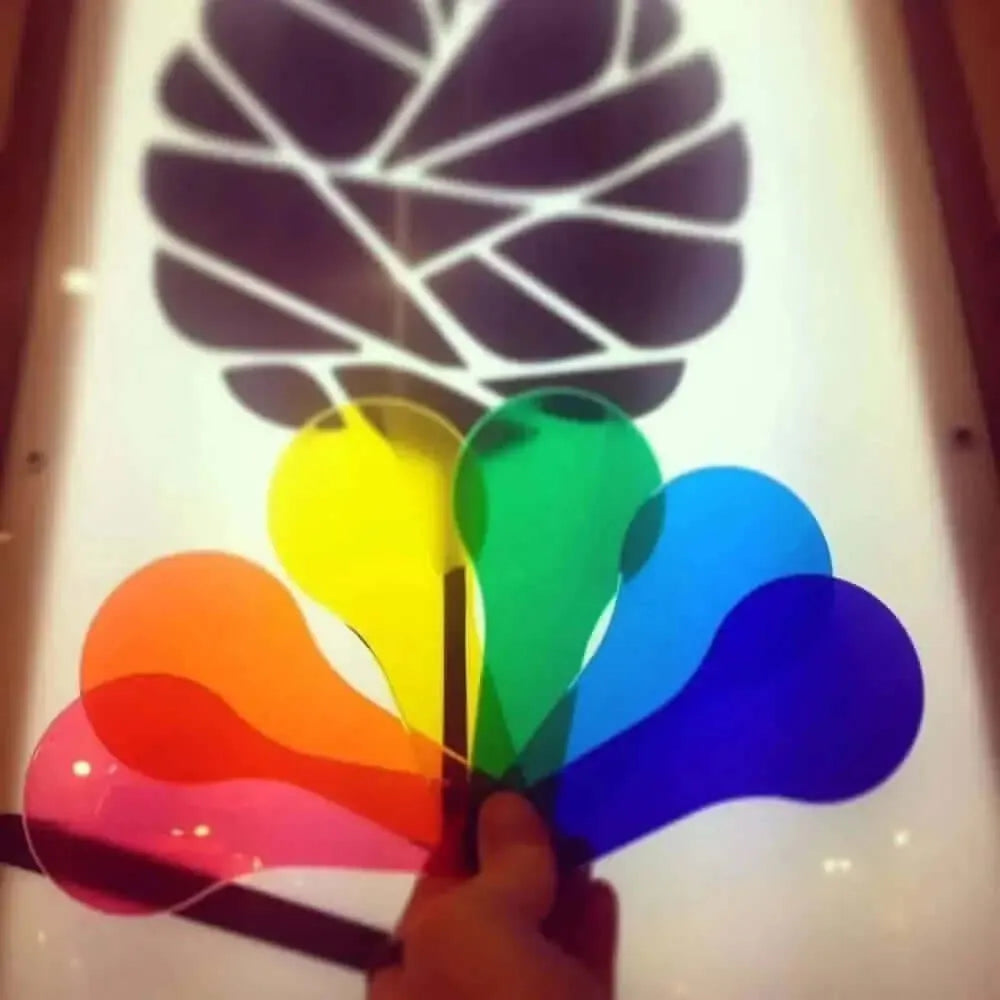 Primary Science Colour Paddles-Primary Science Colour Paddles