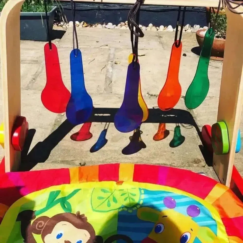 Primary Science Colour Paddles-Primary Science Colour Paddles