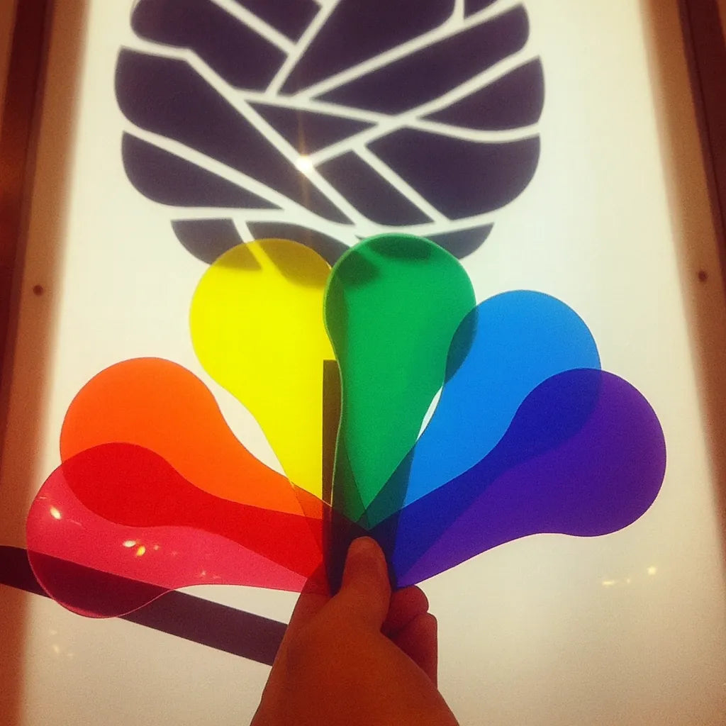 Primary Science Colour Paddles-Primary Science Colour Paddles