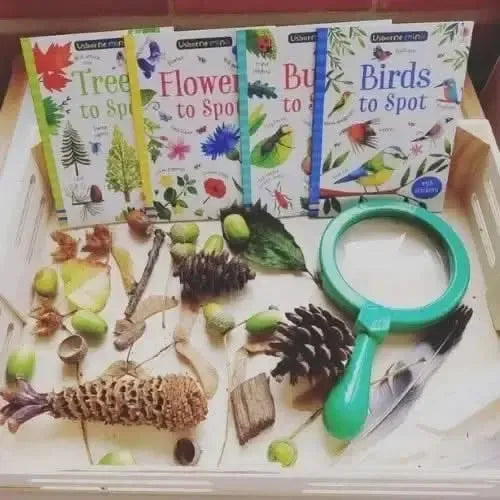 Primary Science Jumbo Magnifiers, Set of 12-Primary Science Jumbo Magnifiers, Set of 12