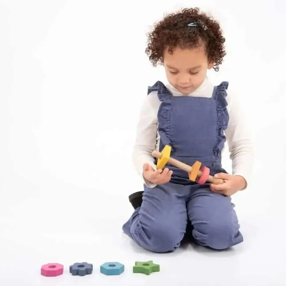 Rainbow Wooden Shape Twister-Rainbow Wooden Shape Twister