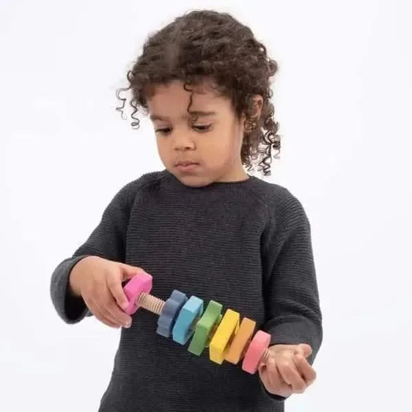 Rainbow Wooden Shape Twister-Rainbow Wooden Shape Twister