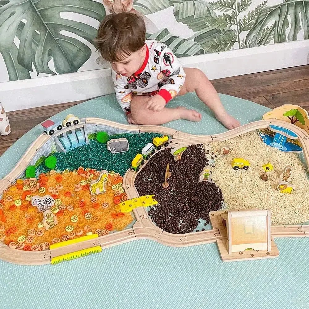 Safari Train Set-Safari Train Set