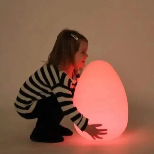 Sensory Mood Egg-Sensory Mood Egg