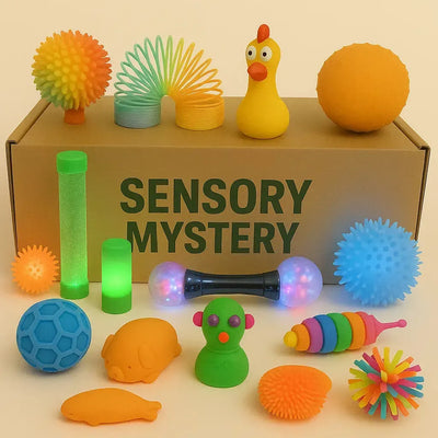 Sensory Mystery Box-Sensory Mystery Box