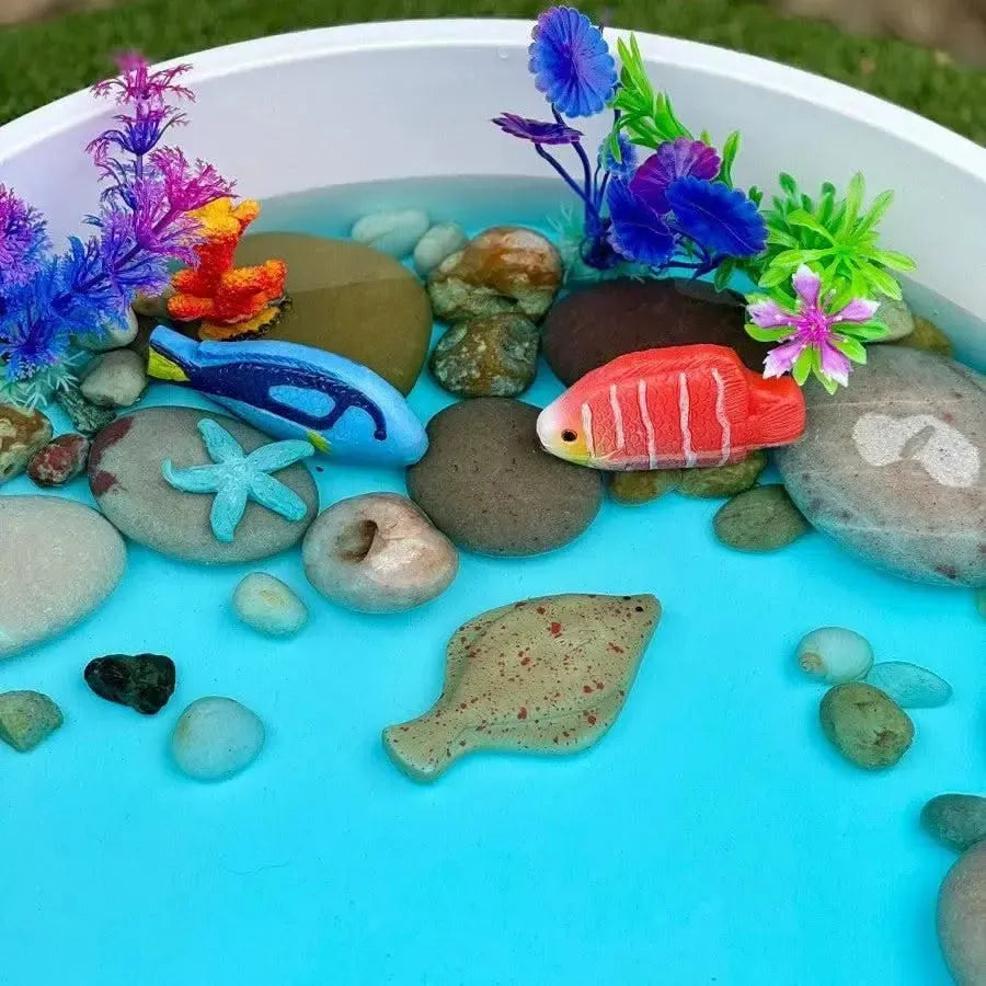 Sensory Play Stones Fish-Sensory Play Stones Fish