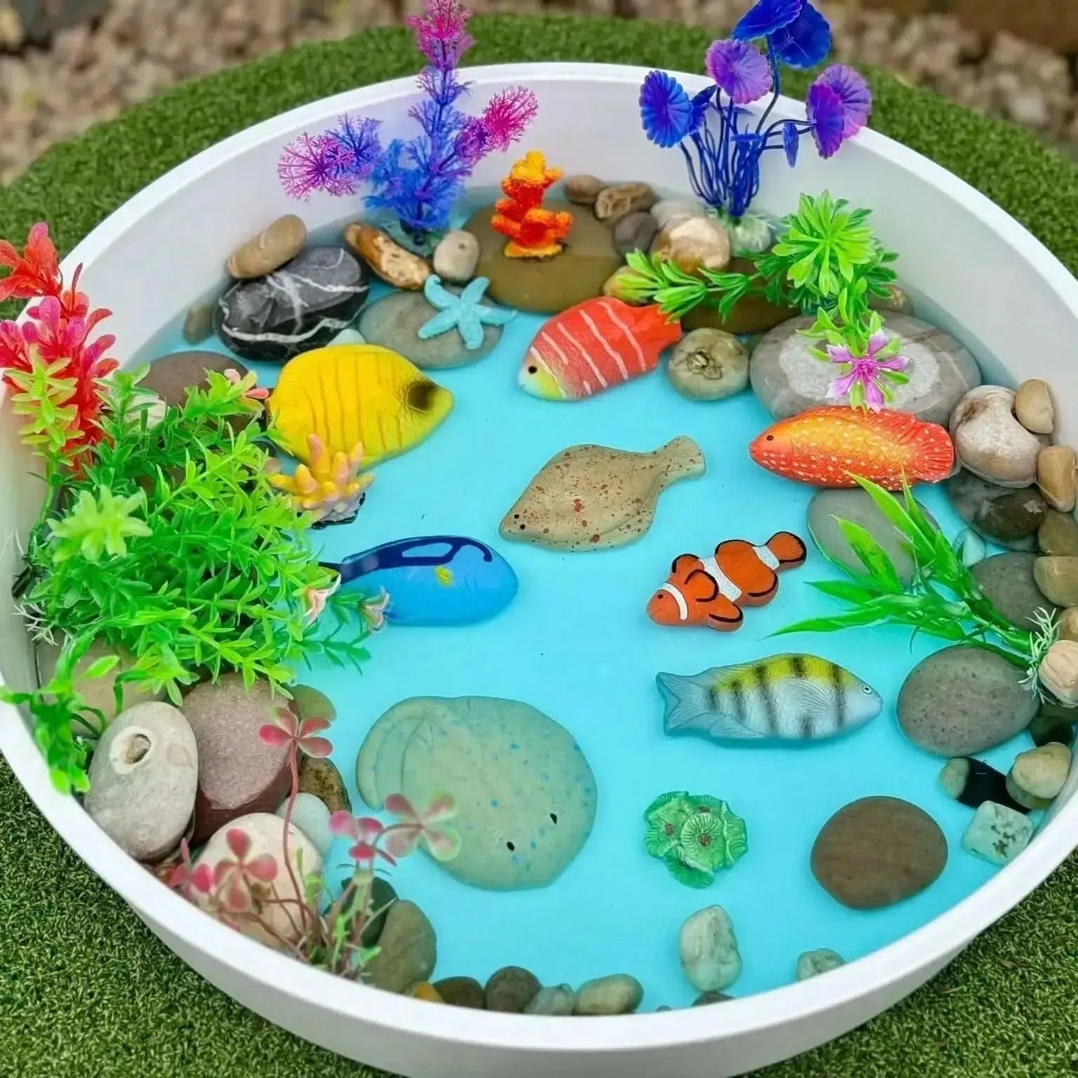 Sensory Play Stones Fish-Sensory Play Stones Fish