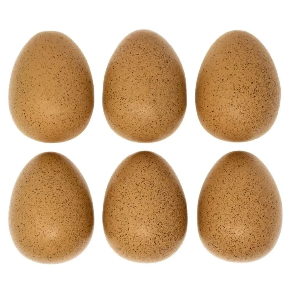 Sensory Sound Eggs-Sensory Sound Eggs