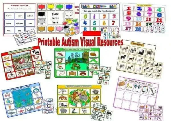 Special needs resource disc volume 1-Special needs resource disc volume 1
