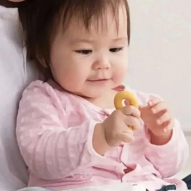 Squeezers pack of 6-Squeezers pack of 6