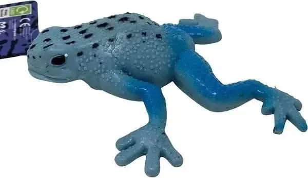 Squishy Frog-Squishy Frog