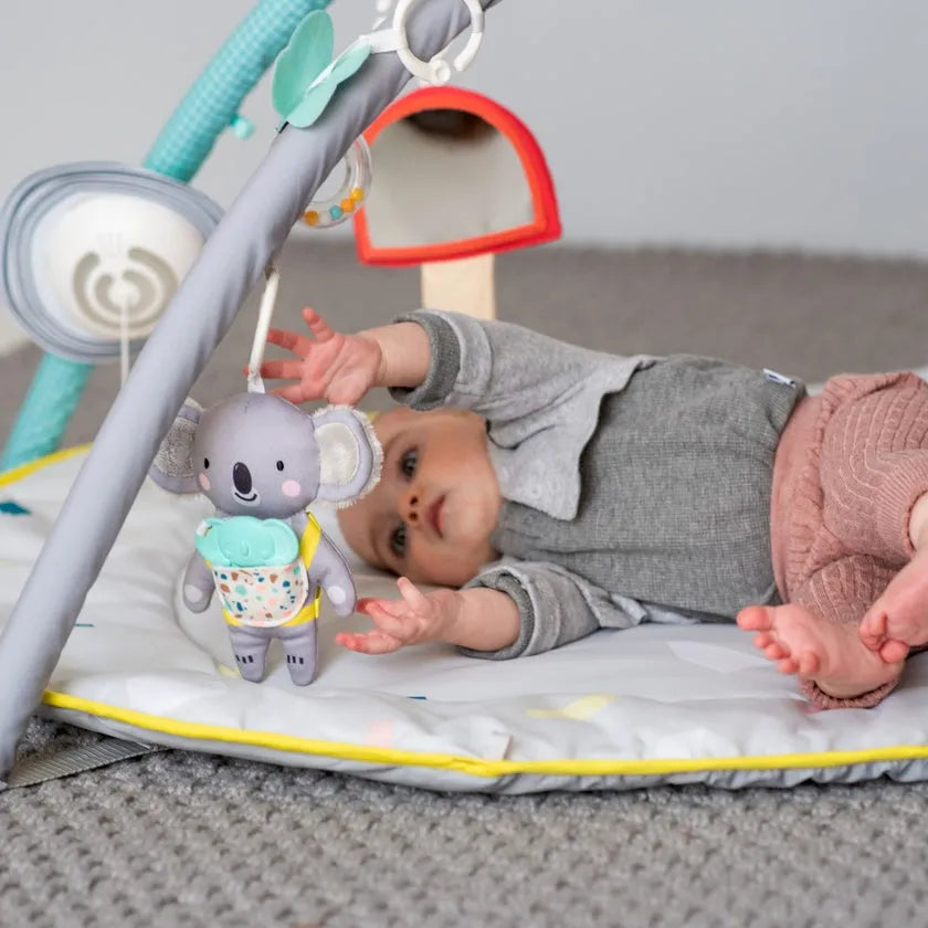 Taf Toys All Around Me Gym-Taf Toys All Around Me Gym