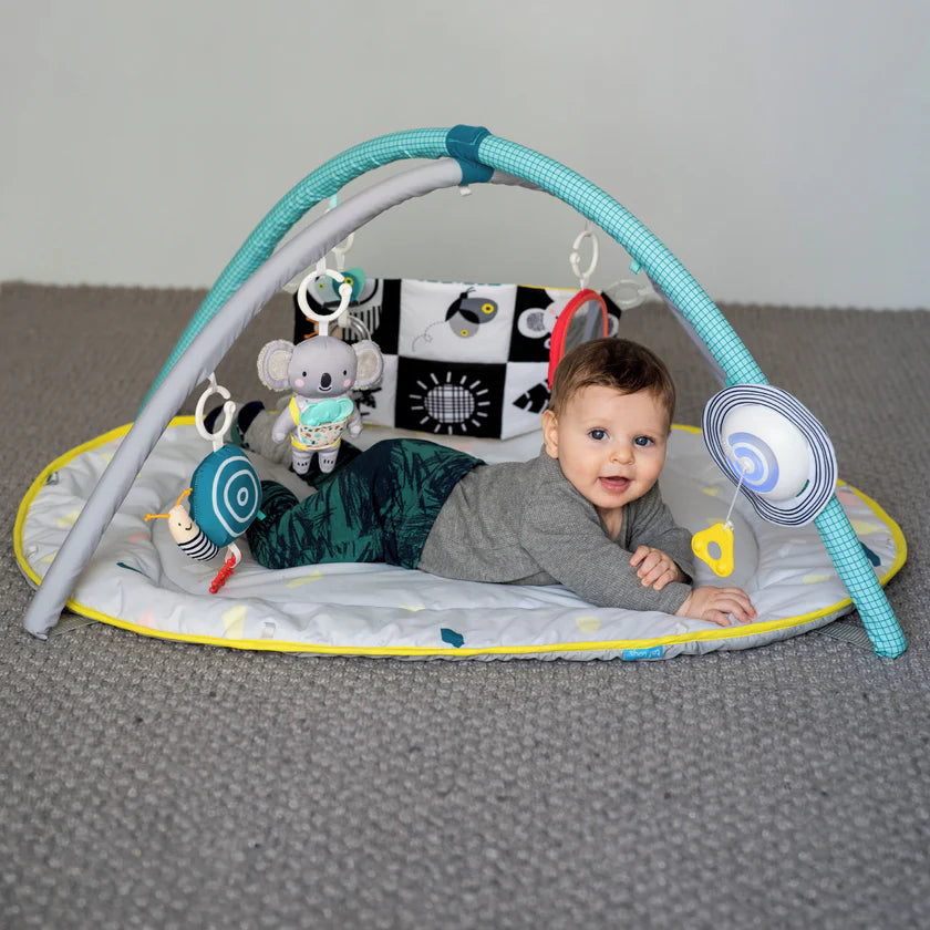 Taf Toys All Around Me Gym-Taf Toys All Around Me Gym