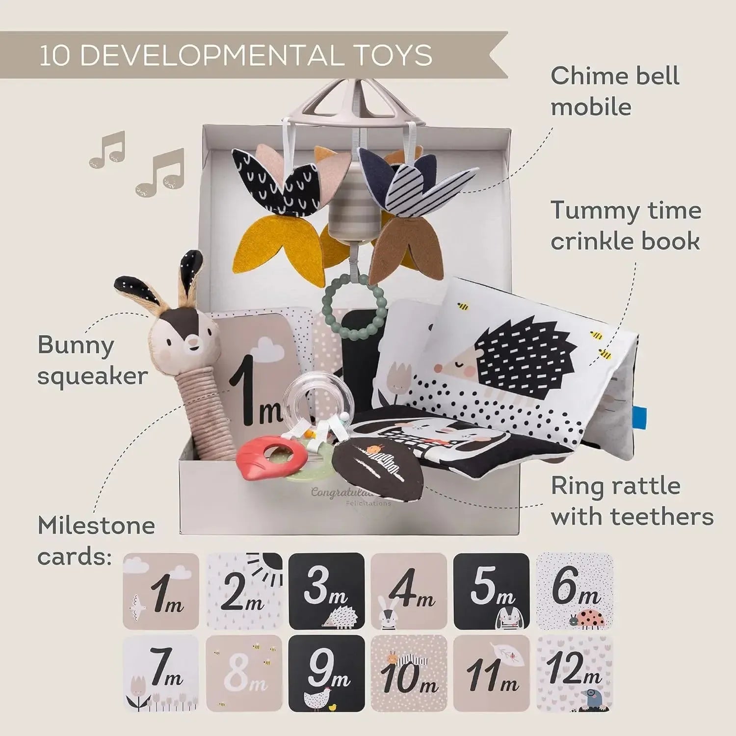 Taf Toys Black & White Newborn Kit-Taf Toys Black & White Newborn Kit