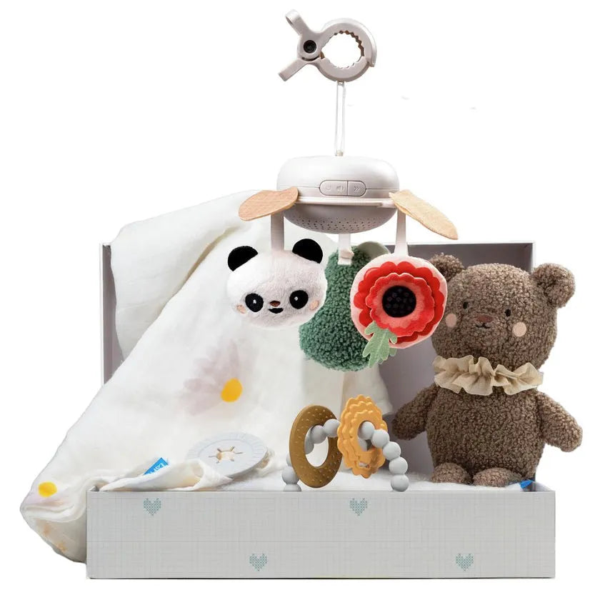 Taf Toys Luxury Newborn Gift Set-Taf Toys Luxury Newborn Gift Set