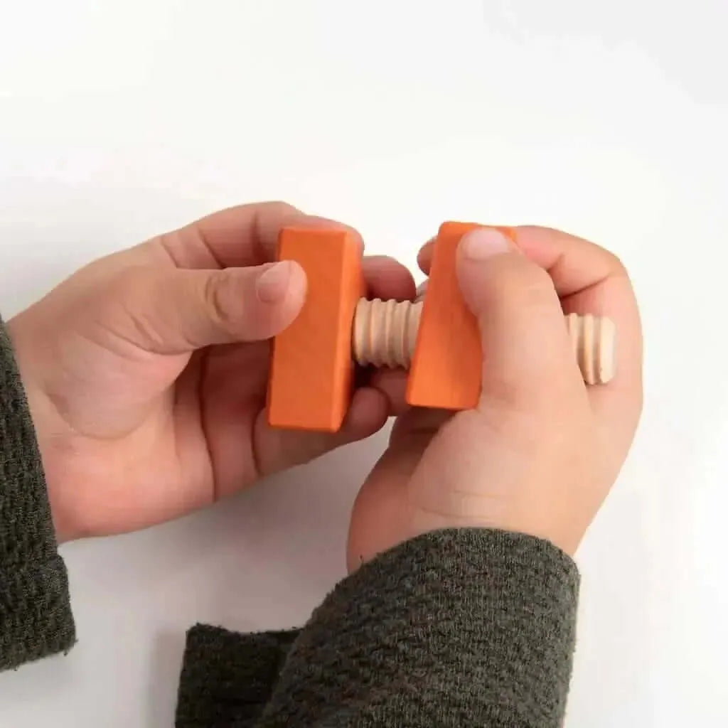TickIt Rainbow Wooden Nuts & Bolts- Pk21-TickIt Rainbow Wooden Nuts & Bolts- Pk21