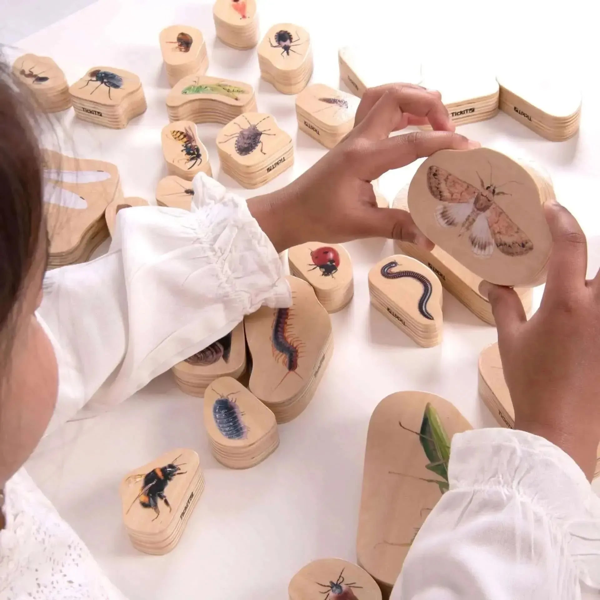 TickiT Wooden Minibeast Blocks-TickiT Wooden Minibeast Blocks