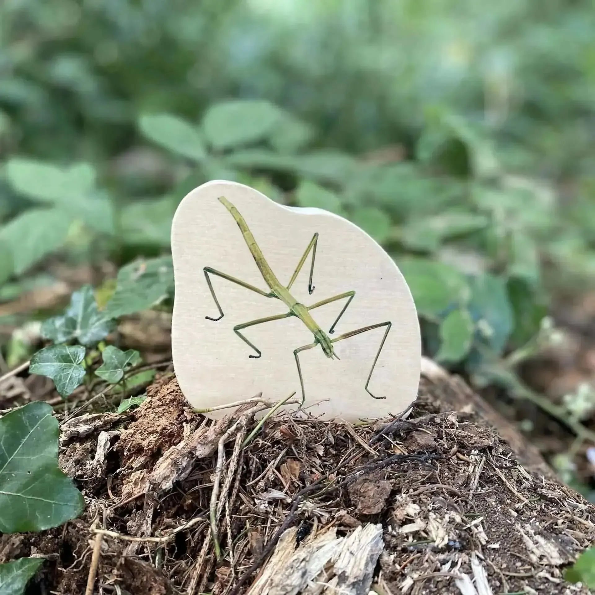 TickiT Wooden Minibeast Blocks-TickiT Wooden Minibeast Blocks