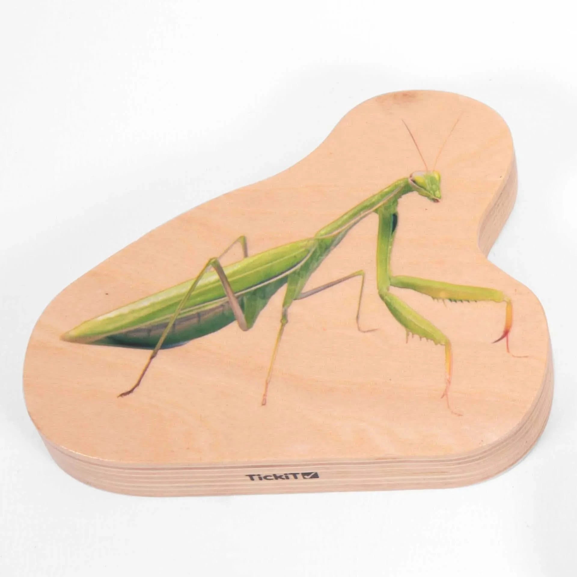 TickiT Wooden Minibeast Blocks-TickiT Wooden Minibeast Blocks