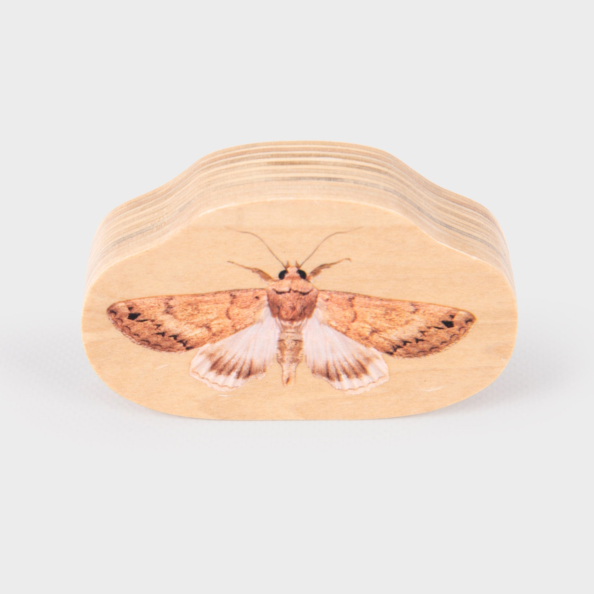 TickiT Wooden Minibeast Blocks, Our TickiT® Wooden Minibeast Blocks are a great way for your child to examine creepy crawlies up close as the chunky wooden picture blocks are colour printed on both sides with real photographic images of minibeasts from around the world.The realistic imagery will enable your child to learn about bugs and inspire them to identify insects when out on nature walks or see them in books. Older children can be encouraged to visualise characters in story-telling and creative writin