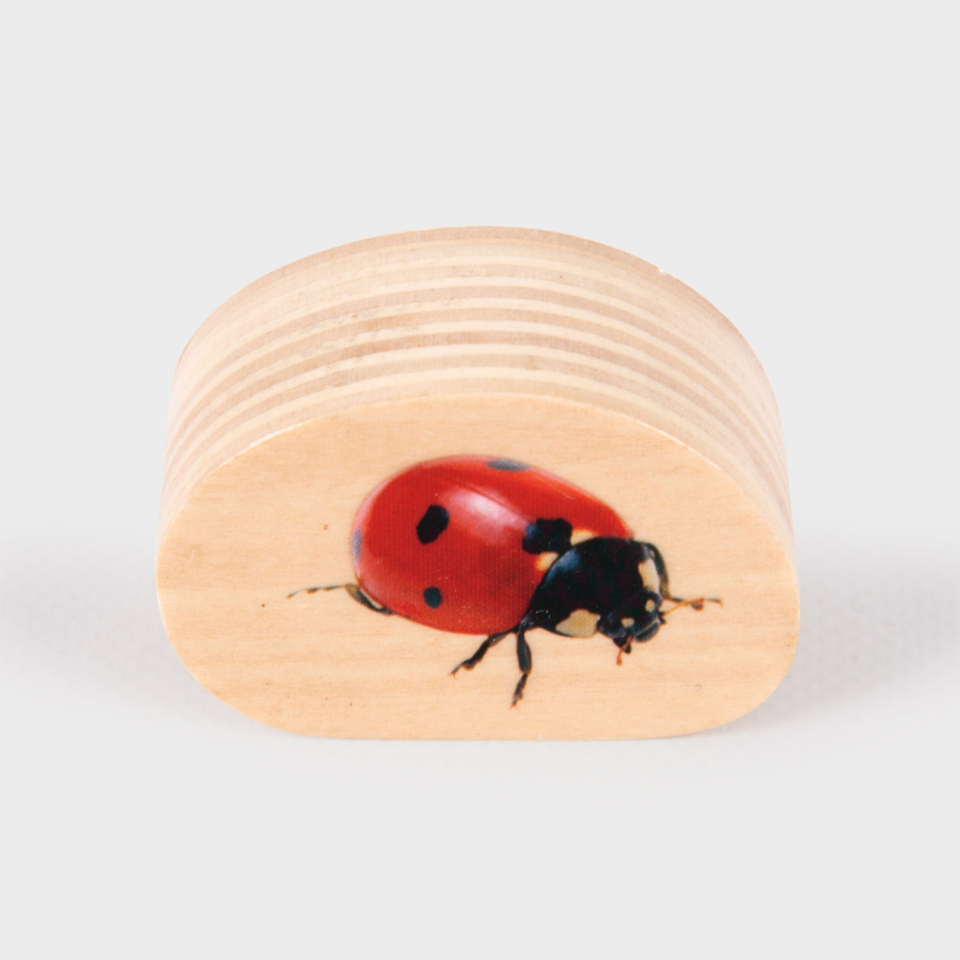 TickiT Wooden Minibeast Blocks, Our TickiT® Wooden Minibeast Blocks are a great way for your child to examine creepy crawlies up close as the chunky wooden picture blocks are colour printed on both sides with real photographic images of minibeasts from around the world.The realistic imagery will enable your child to learn about bugs and inspire them to identify insects when out on nature walks or see them in books. Older children can be encouraged to visualise characters in story-telling and creative writin