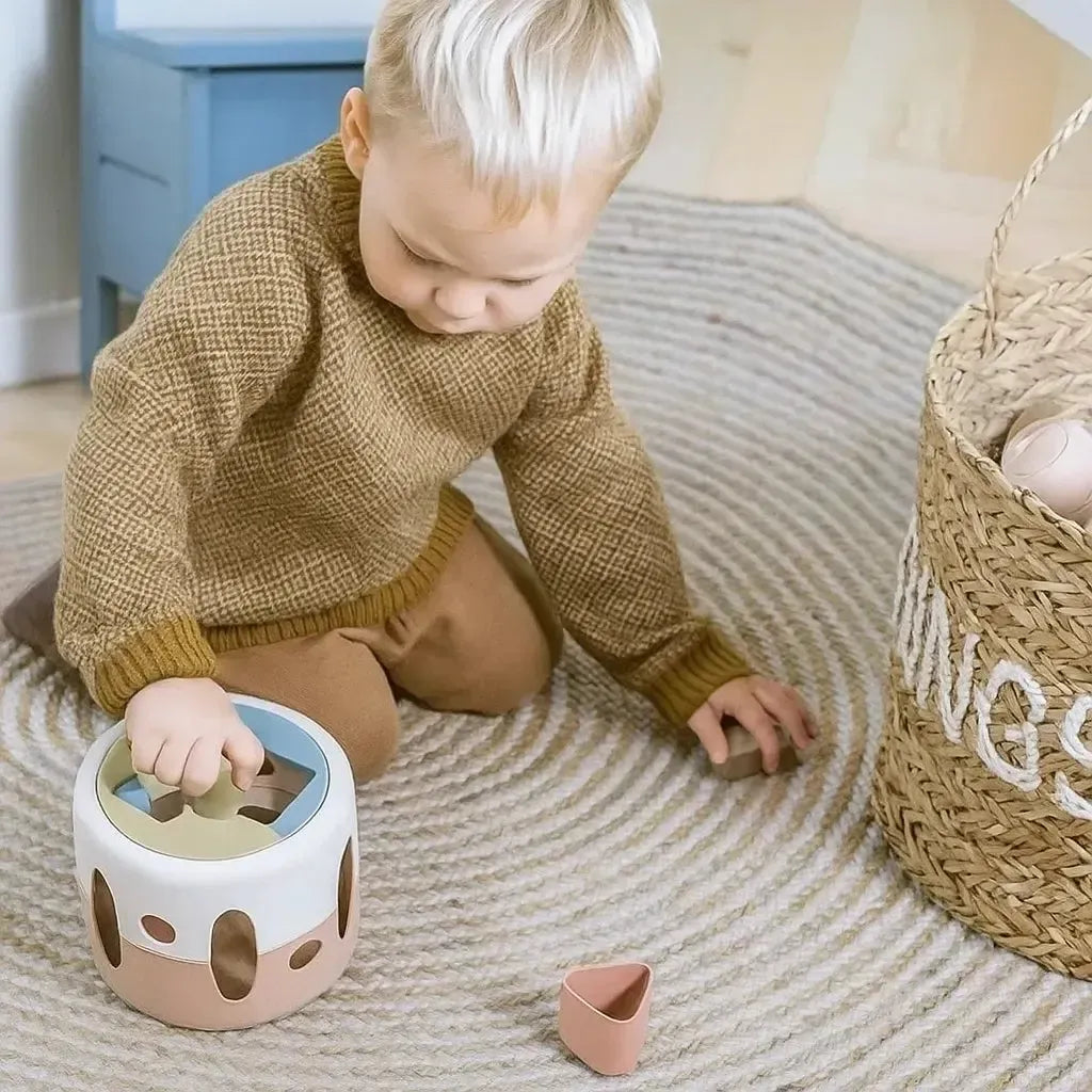 Tiny Bio Shape Sorter-Tiny Bio Shape Sorter