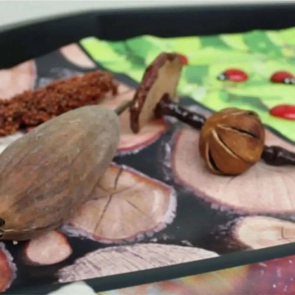 Tuff Tray Insert Natural Textures Insert-Tuff Tray Insert Natural Textures Insert