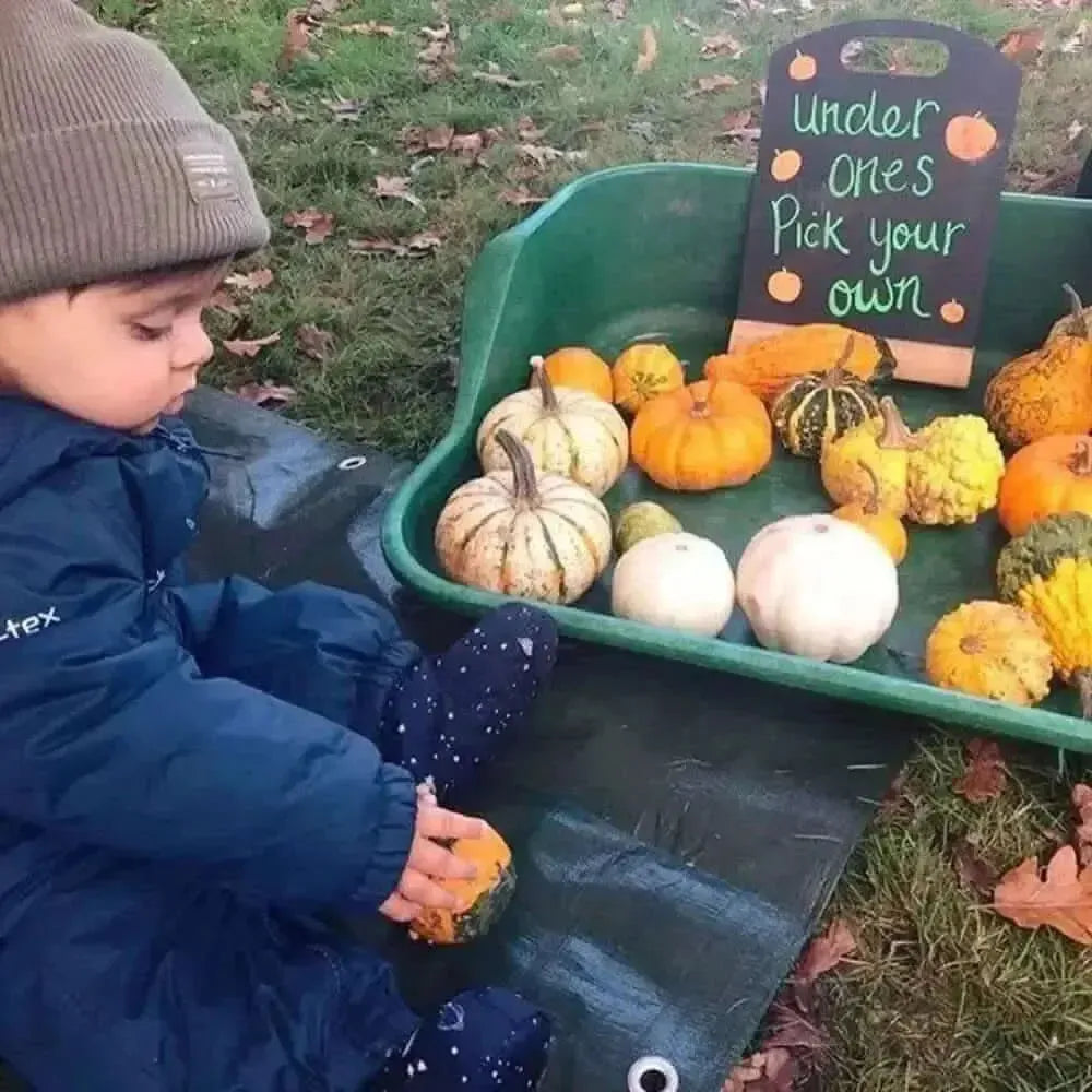 Tufty Tray Set-Tufty Tray Set