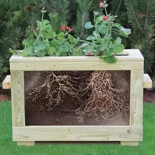 Watch Me Grow Planter-Watch Me Grow Planter