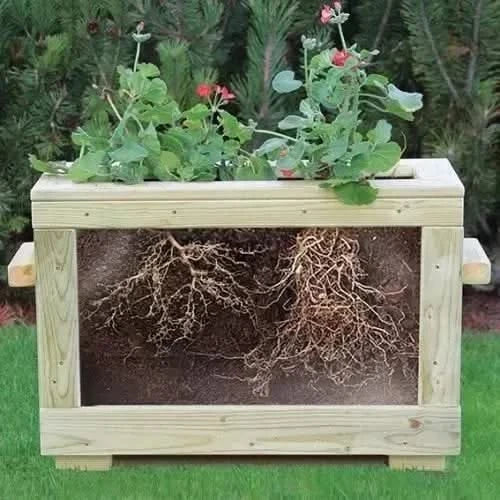 Watch Me Grow Planter-Watch Me Grow Planter