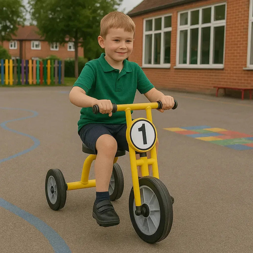 Wisdom Large Trike-Wisdom Large Trike