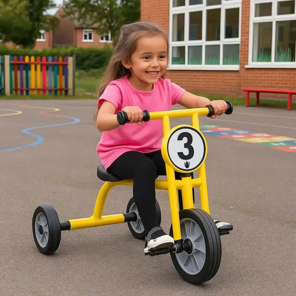 Wisdom Large Trike-Wisdom Large Trike