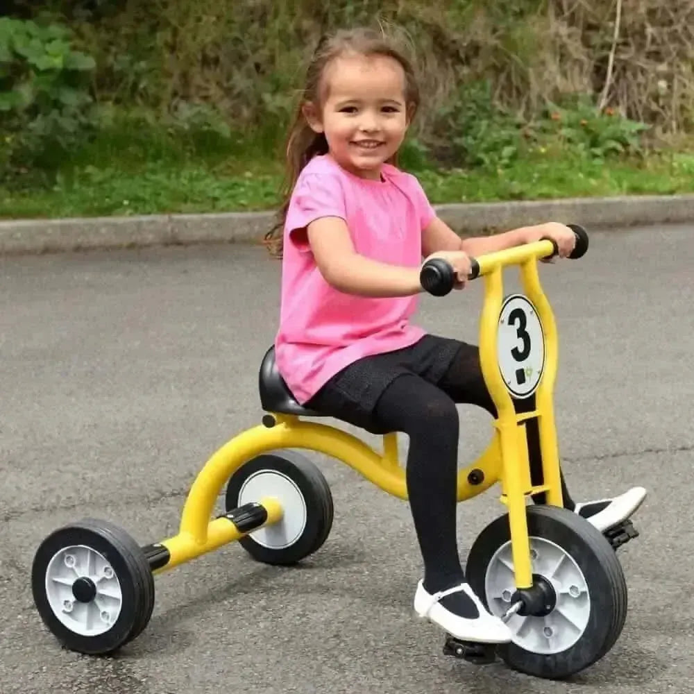 Wisdom Large Trike-Wisdom Large Trike