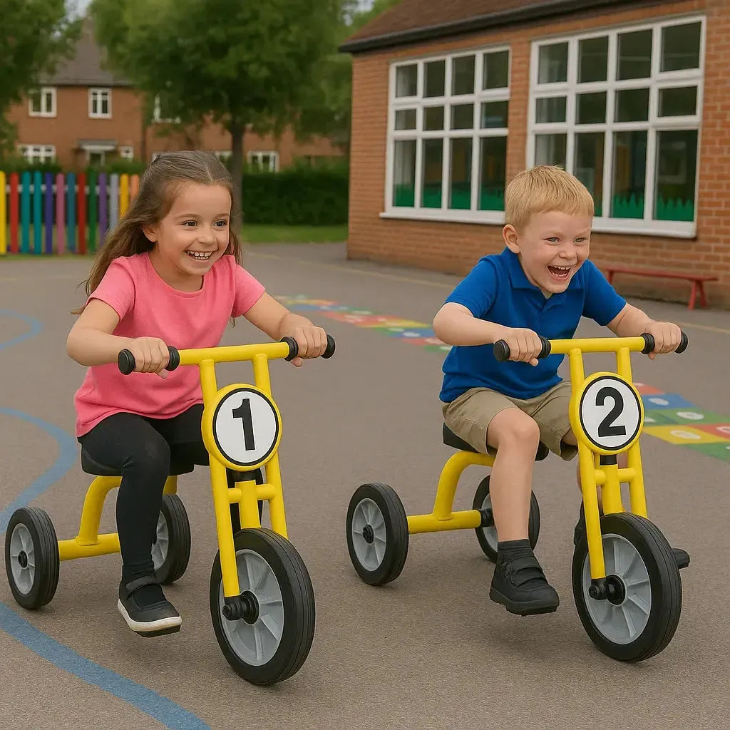 Wisdom Large Trike-Wisdom Large Trike