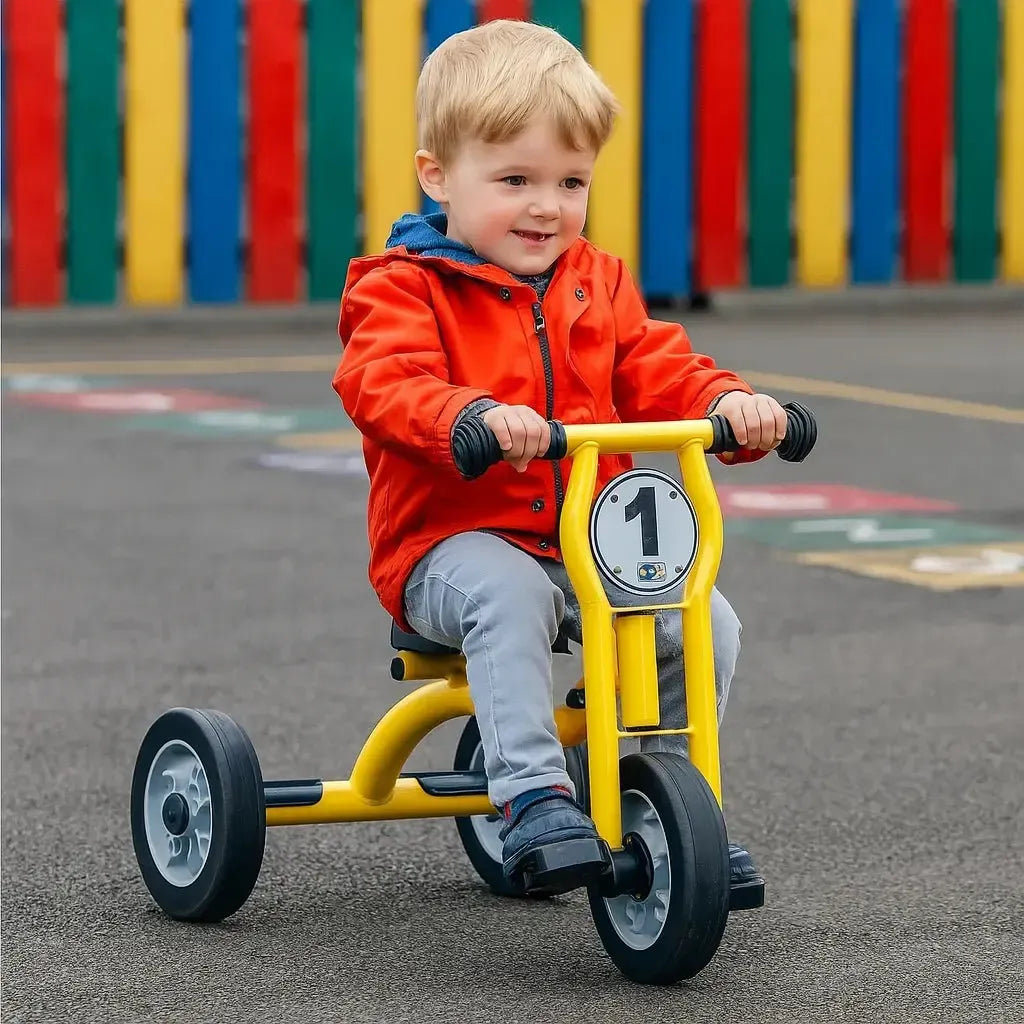 Wisdom Small Trike-Wisdom Small Trike