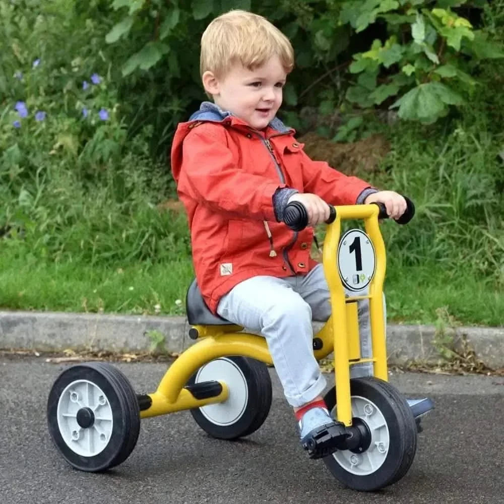 Wisdom Small Trike-Wisdom Small Trike