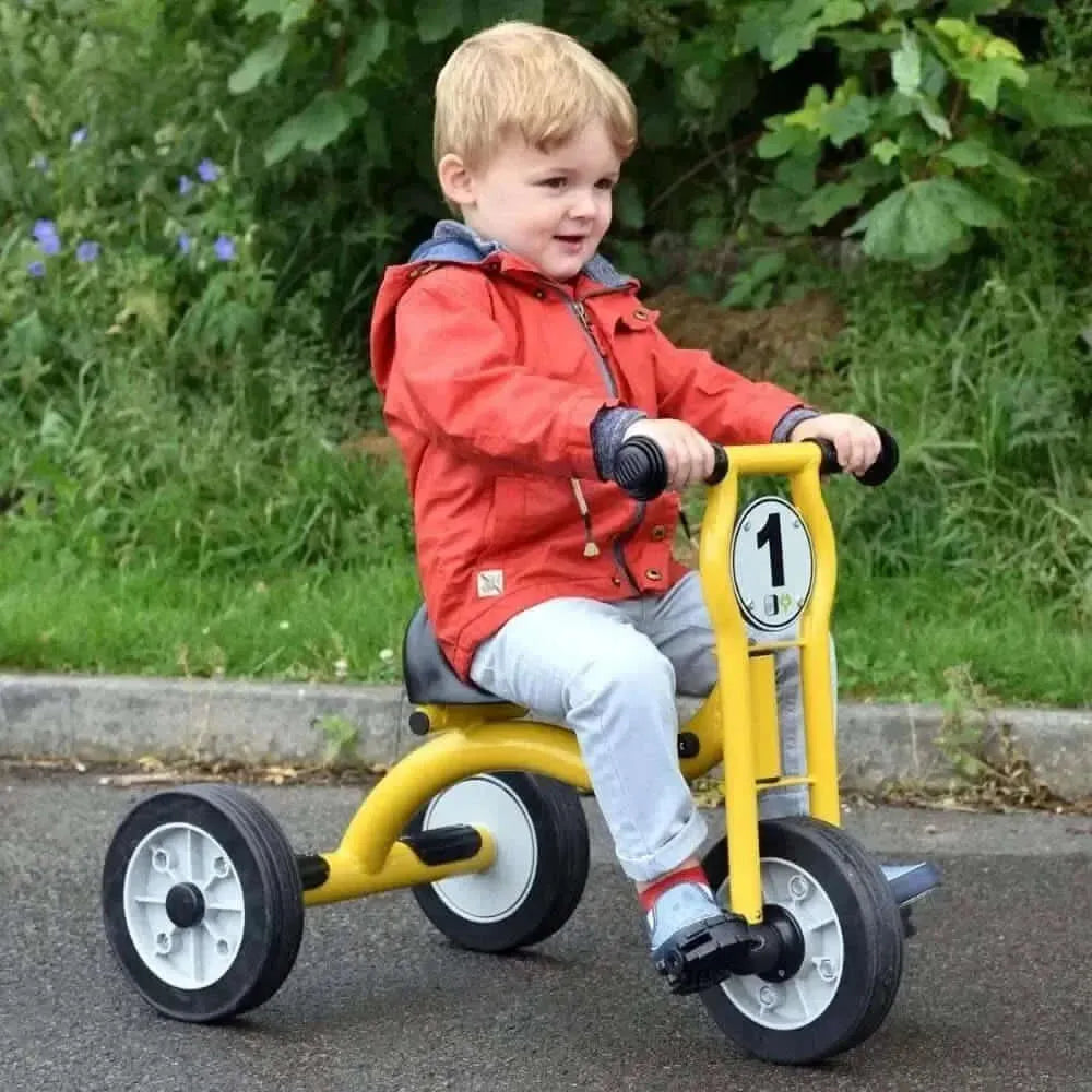 Wisdom Small Trike-Wisdom Small Trike