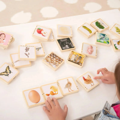 Wooden Lifecycle Tiles-Wooden Lifecycle Tiles