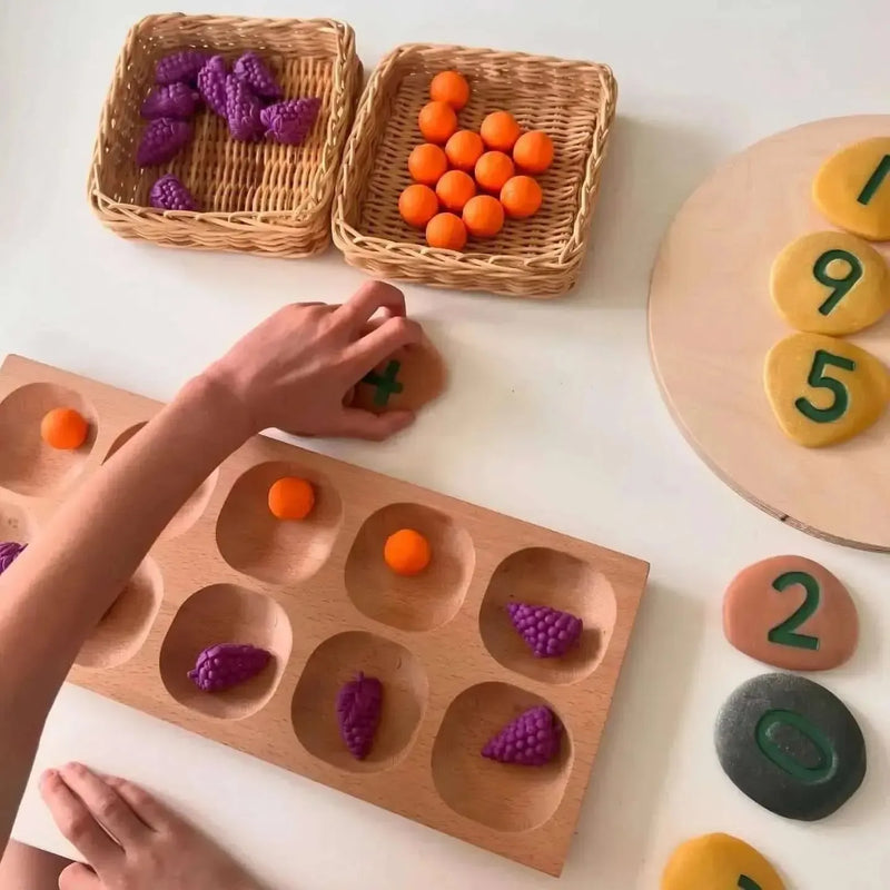 10 Frame Tray wooden educational toy