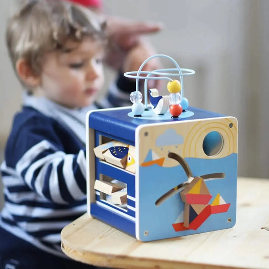 Big Ocean Motor Activity Cube wooden educational toy