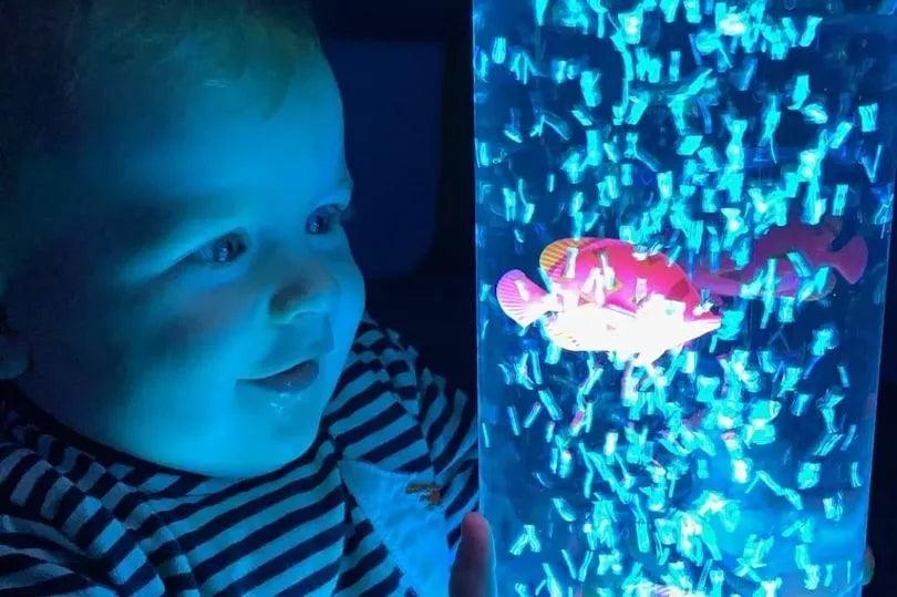 Enhancing Development with Bubble Tubes - Sensory Education
