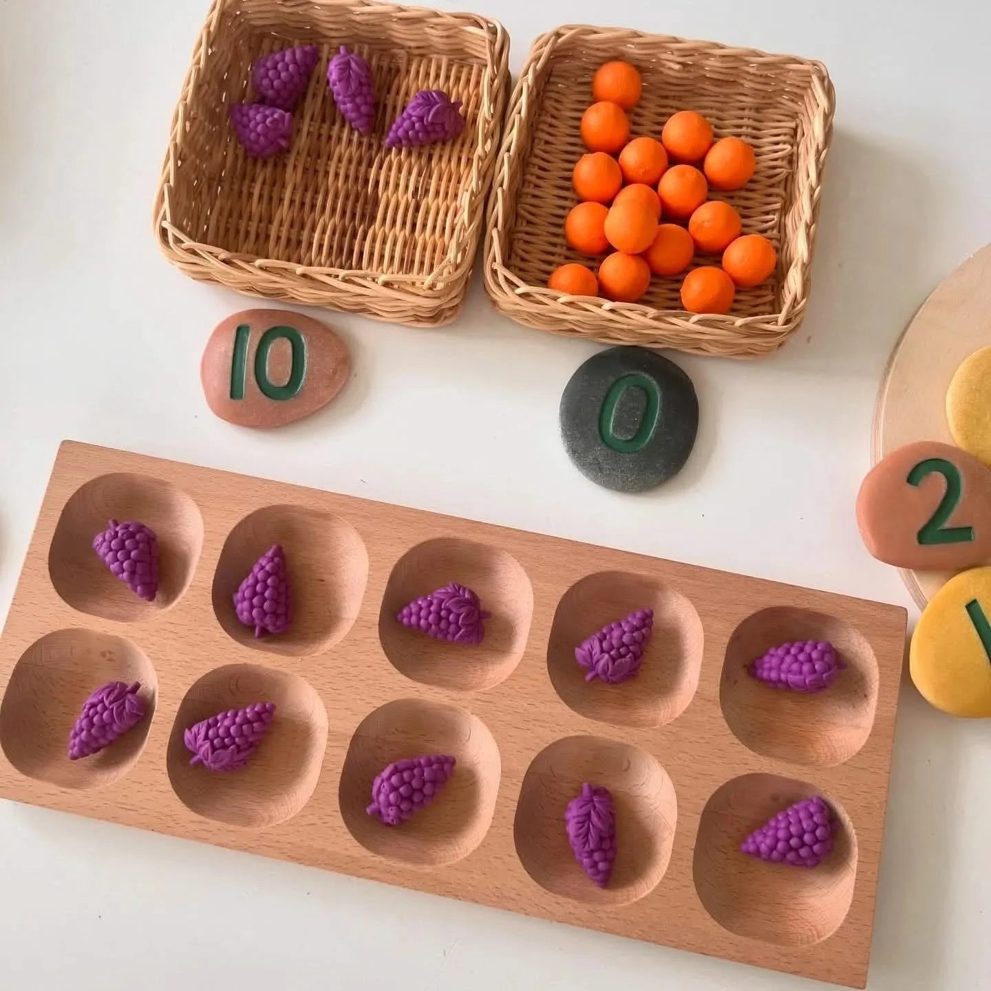 10 Frame Tray-10 Frame Tray