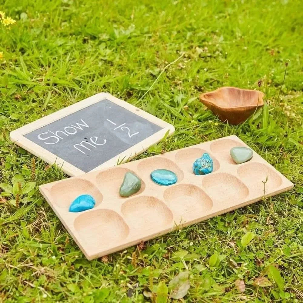 10 Frame Tray-10 Frame Tray