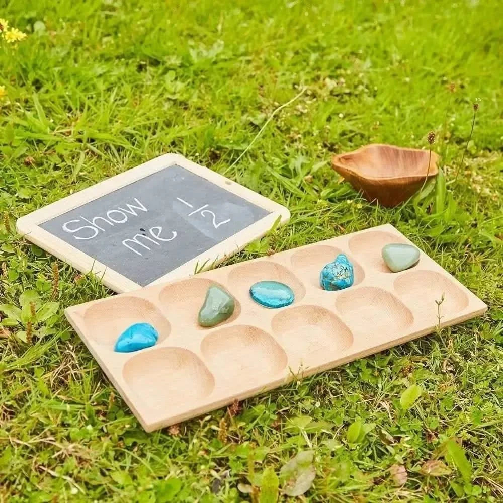 10 Frame Tray-10 Frame Tray